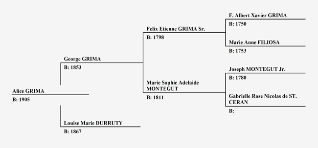 Pedigree Chart for Alice Grima 